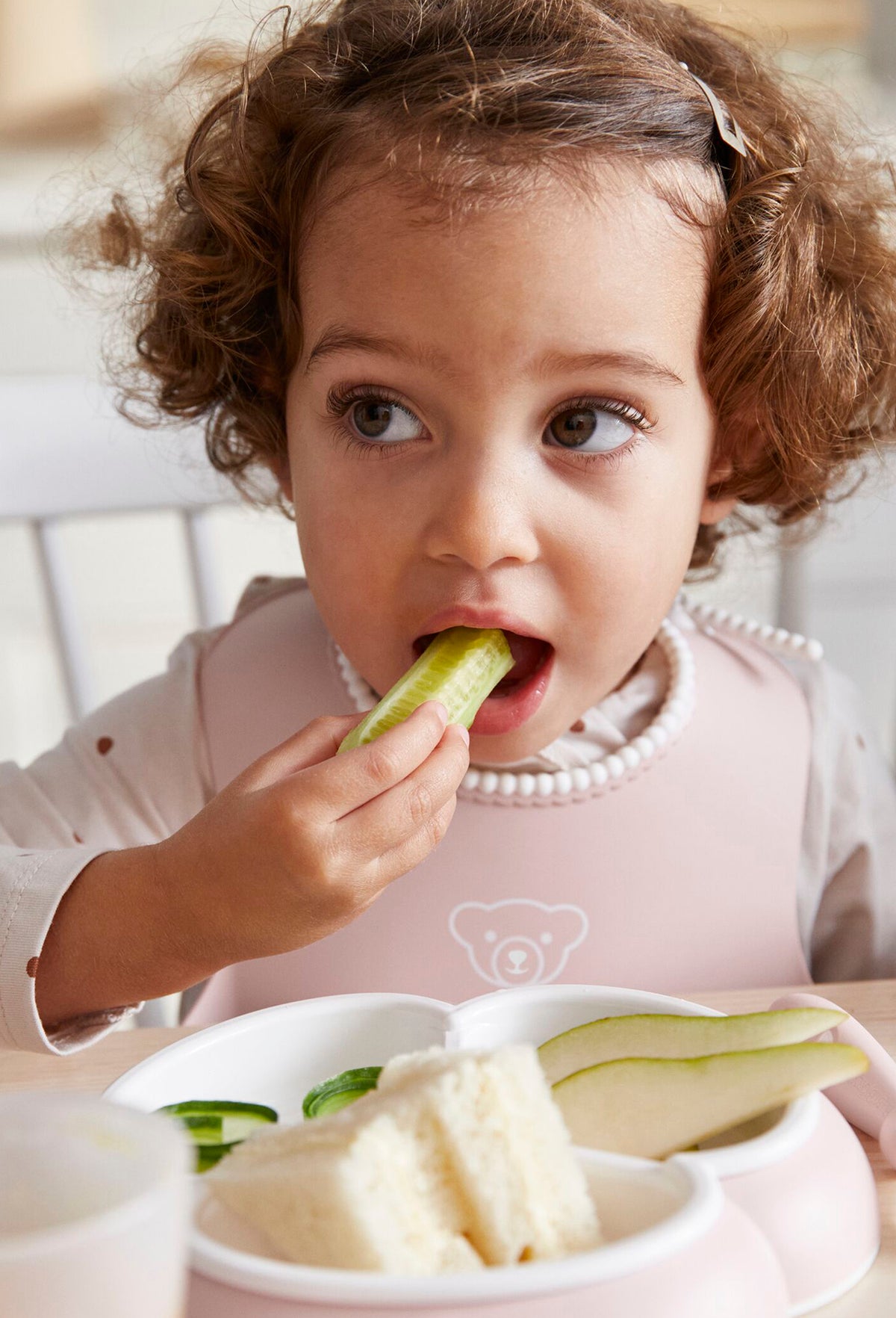 Baby Bib
