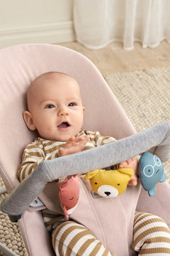 Toy for Bouncer - Soft friends