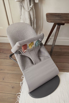 Bouncer Bundle with Toy