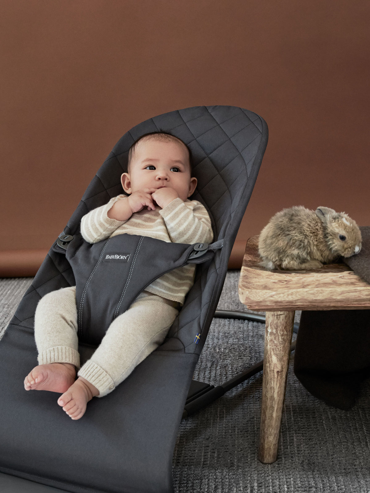 Bouncer Bundle with Toy
