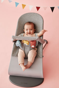 Bouncer Bundle with Toy