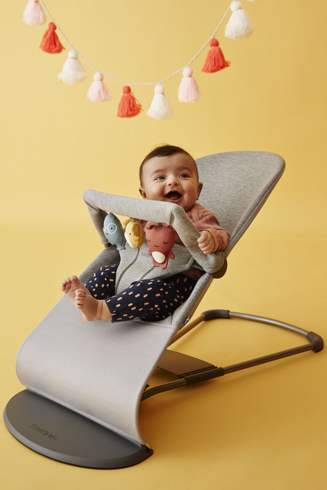 Bouncer Bundle with Toy