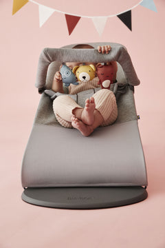 Bouncer Bundle with Toy