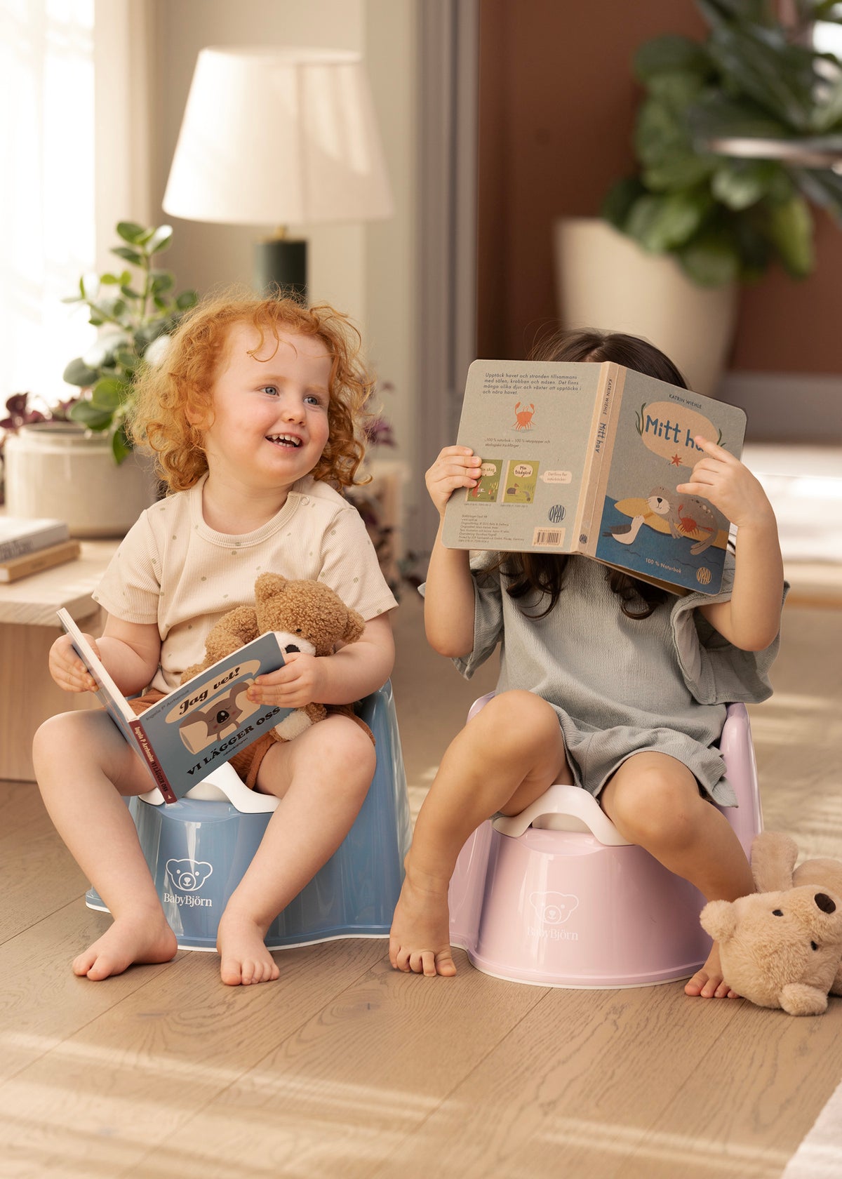 Potty Chair