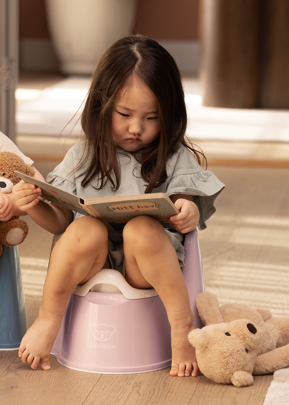 Potty Chair