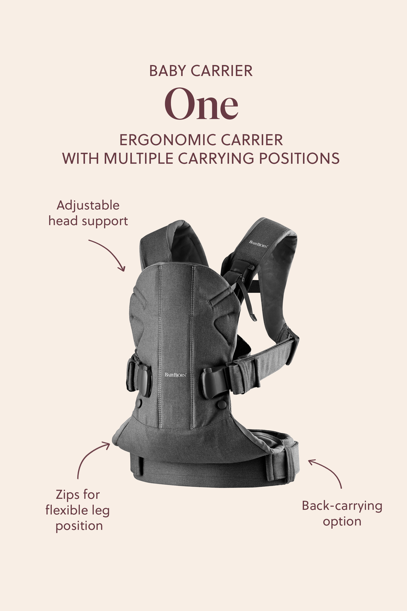 Baby Carrier One