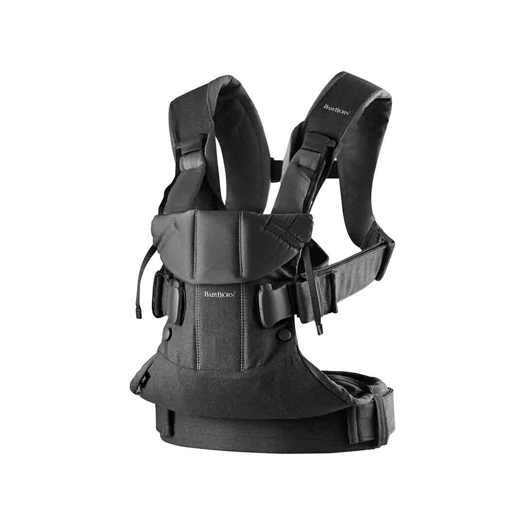 Baby Carrier One