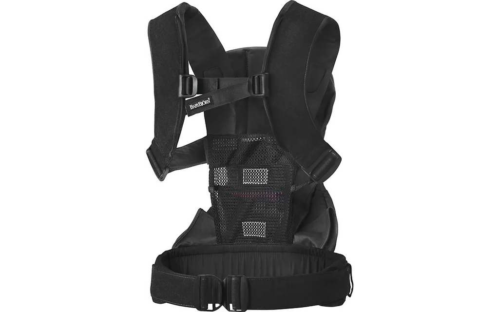 Baby Carrier One