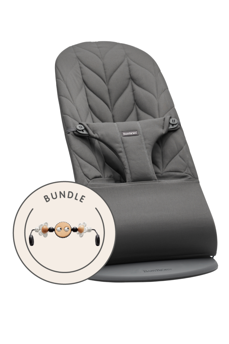 Bouncer Bundle with Toy