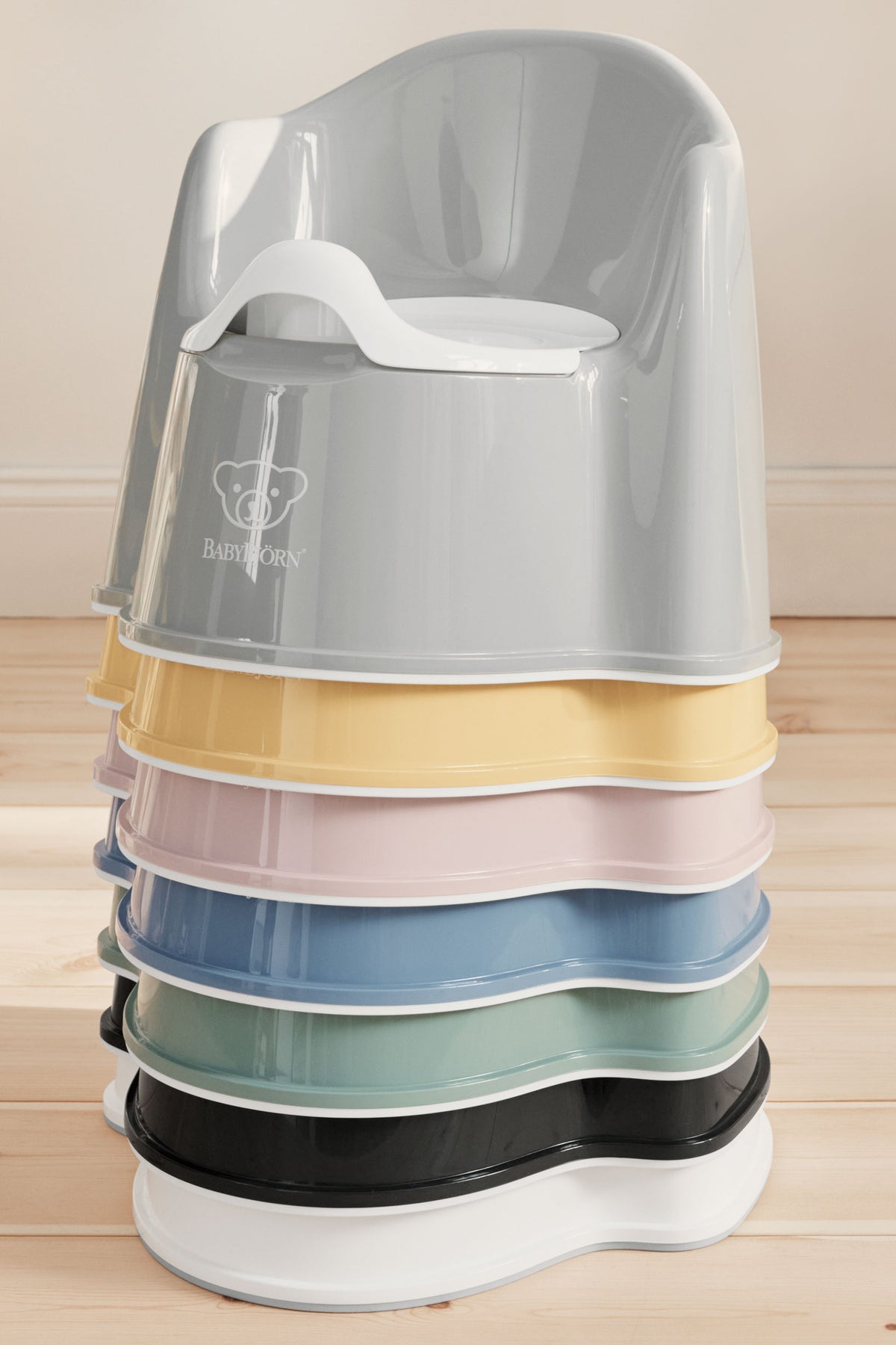 Potty Chair