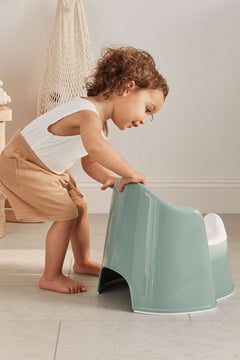 Potty Chair