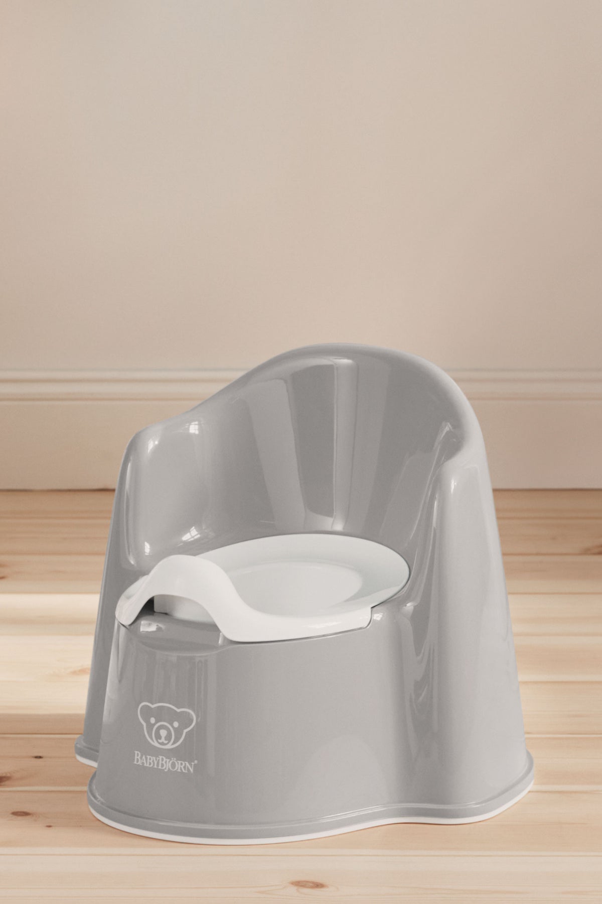 Potty Chair